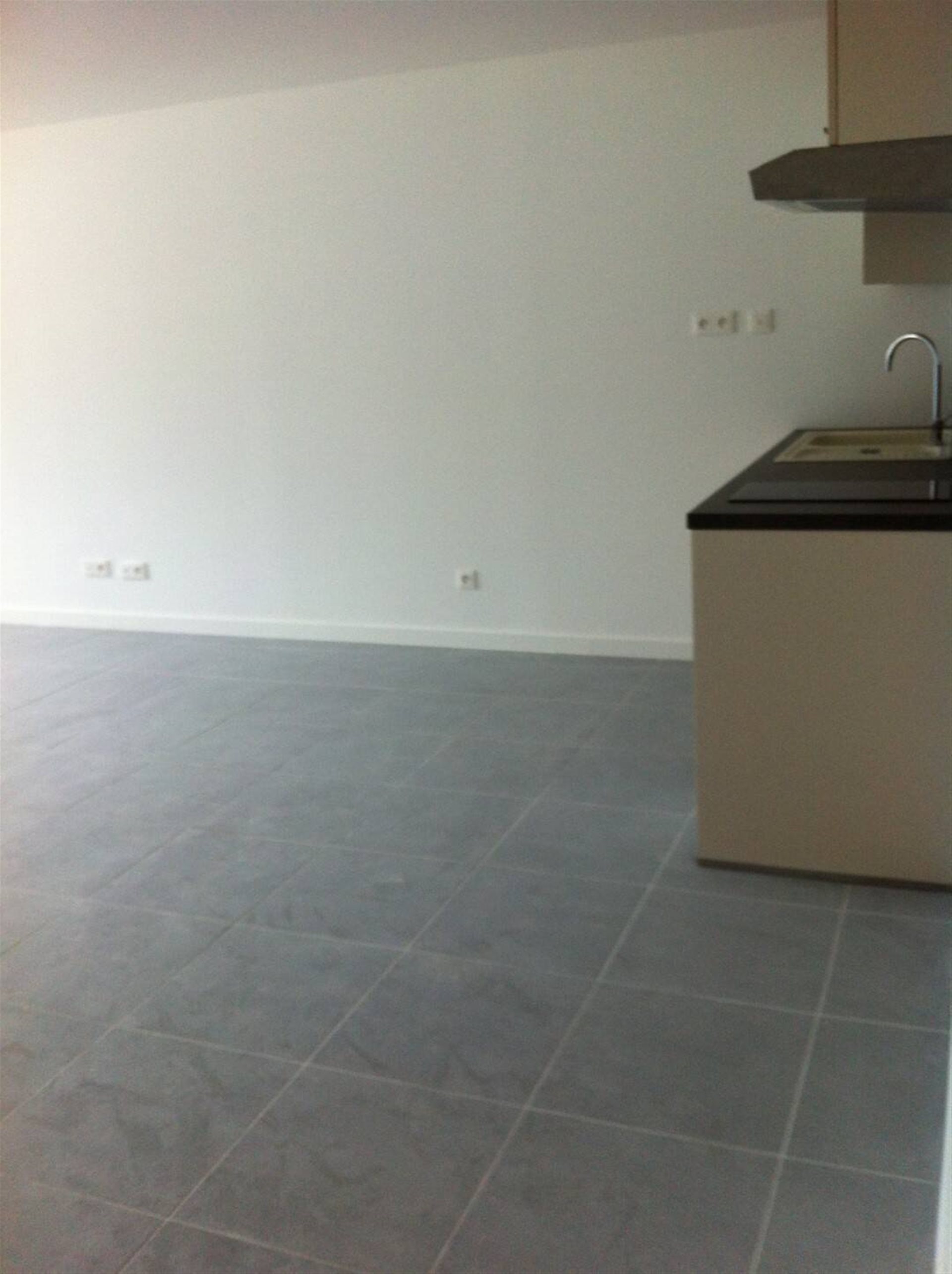 Appartement à louer, 36m², Lyon 8ème