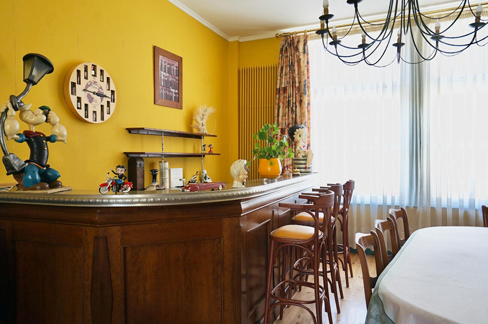 Maison à vendre, 384m², Lille