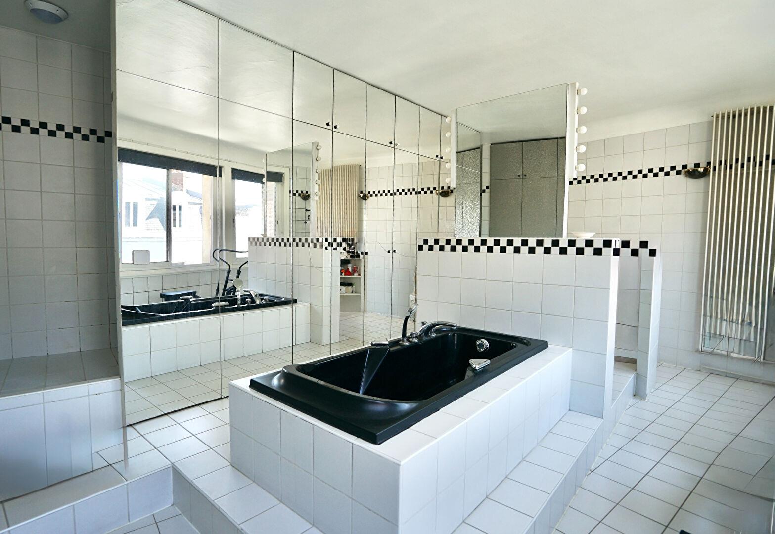 Maison à vendre, 384m², Lille