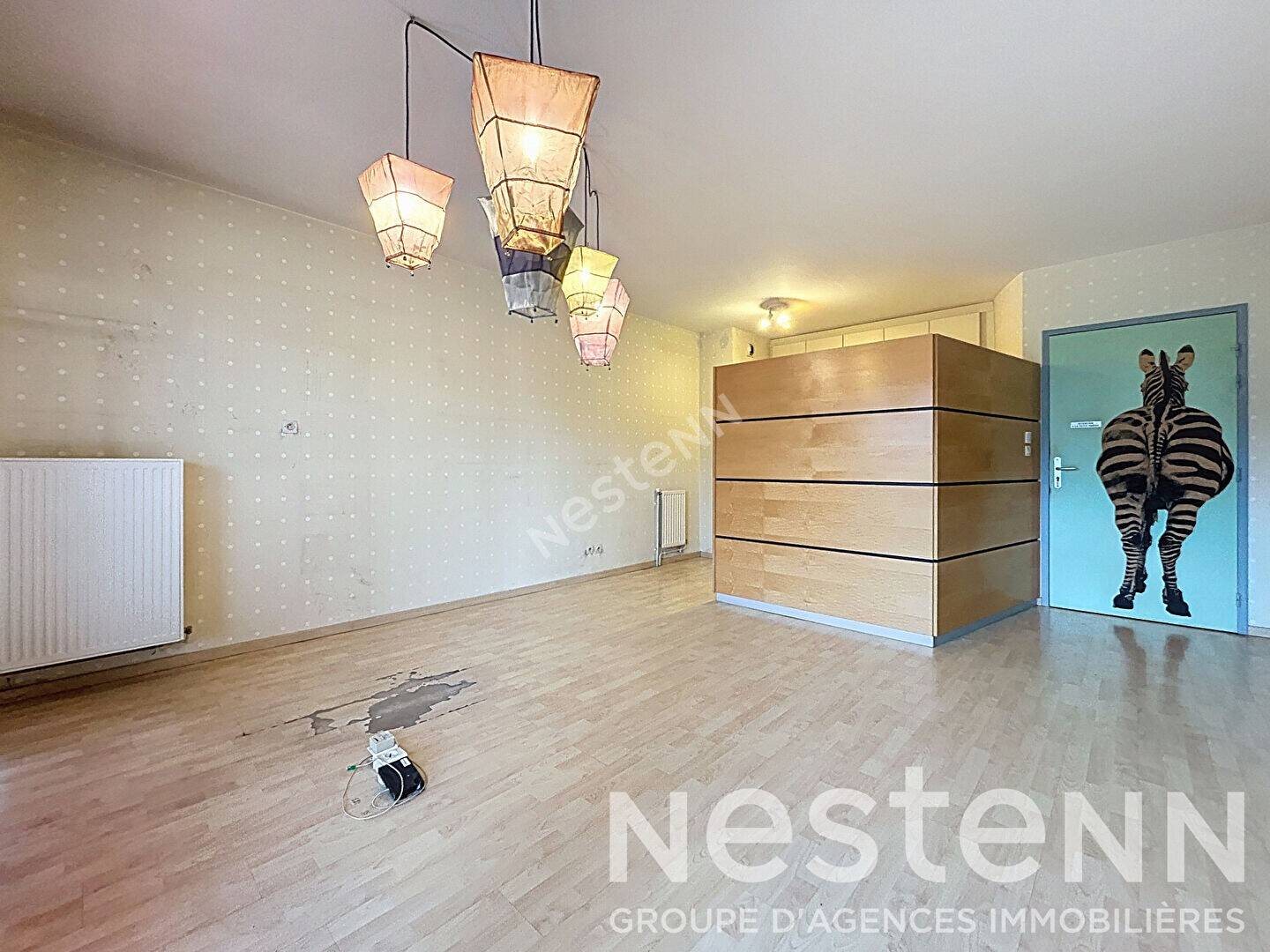Appartement à vendre, 49m², Metz