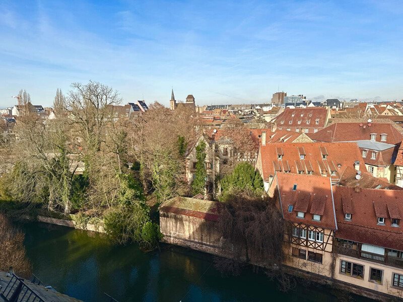 Appartement à vendre, 51m², Strasbourg