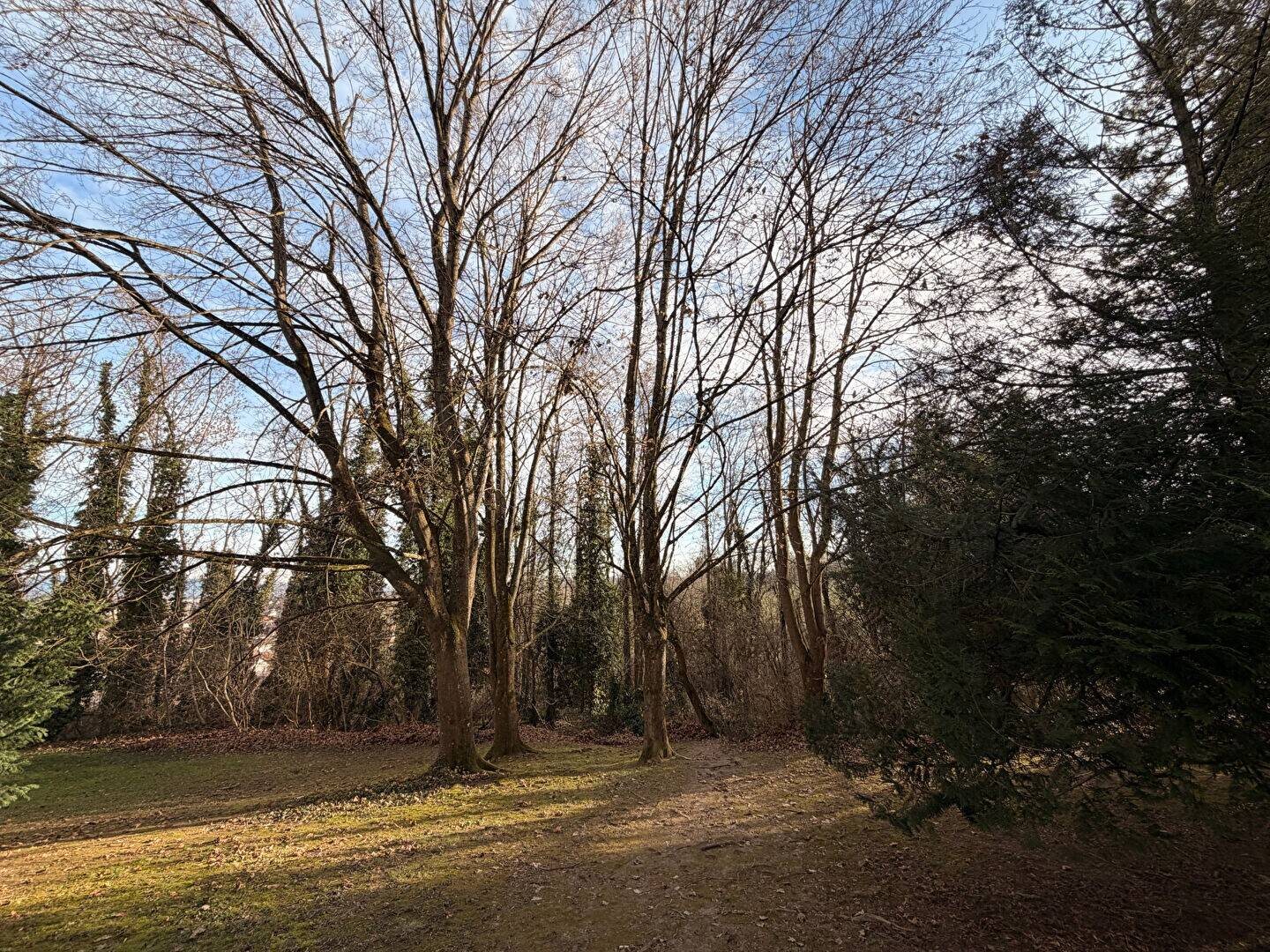 Appartement à vendre, 67m², Rixheim