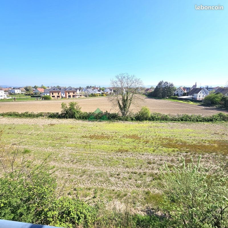 Appartement à louer, 46m², Blotzheim