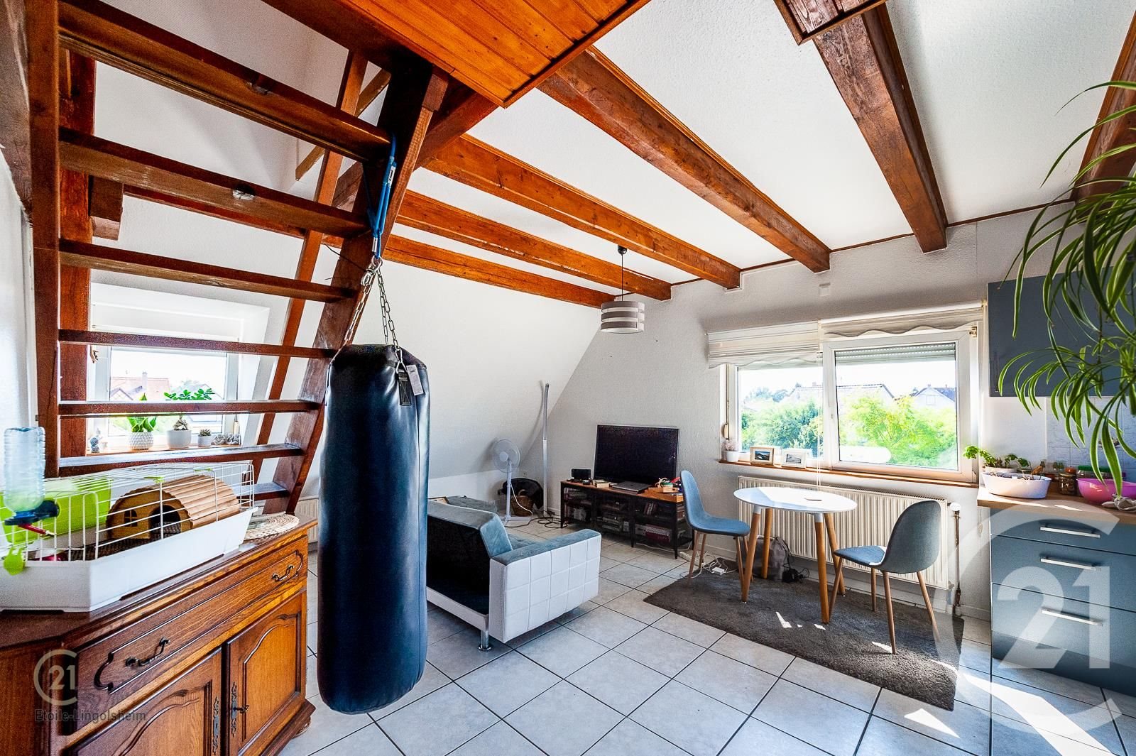 Appartement à vendre, 37m², Lingolsheim