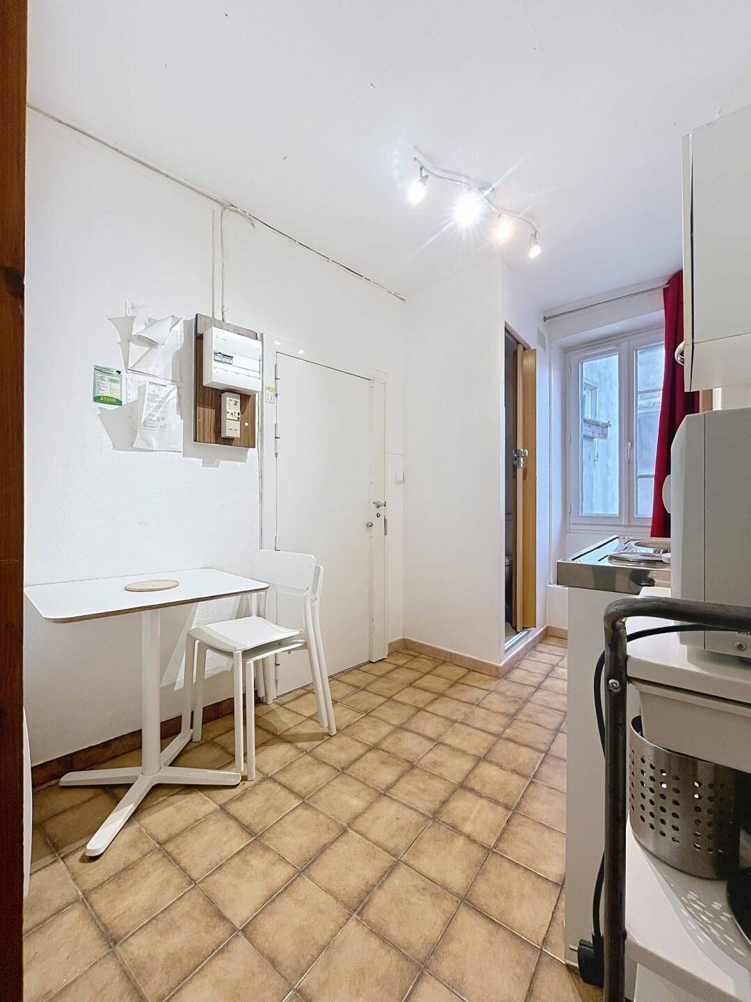 Appartement à vendre, 15m², Grenoble