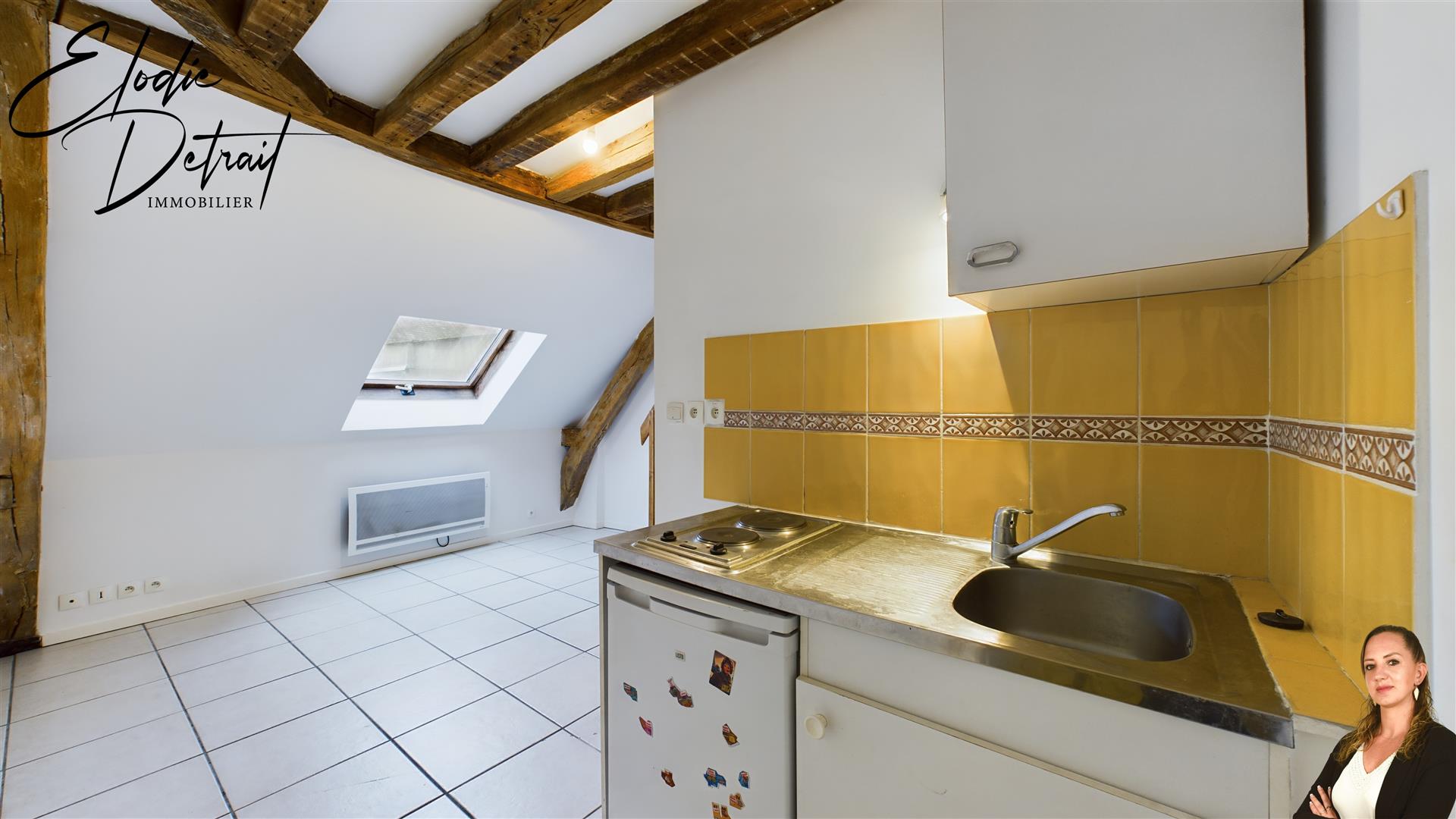 Appartement à vendre, 17m², Le Mans