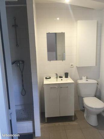 Appartement à louer, 21m², Saint-Etienne