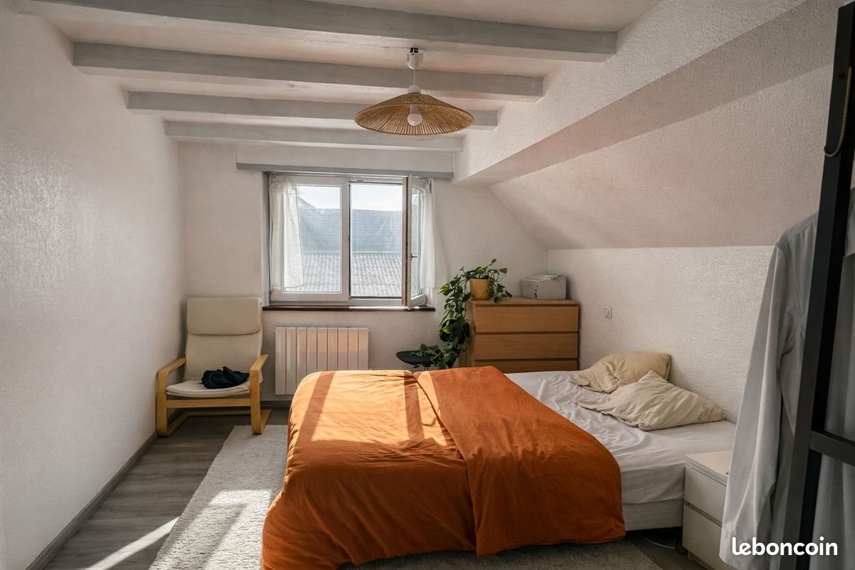 Appartement à vendre, 44m², Huttenheim