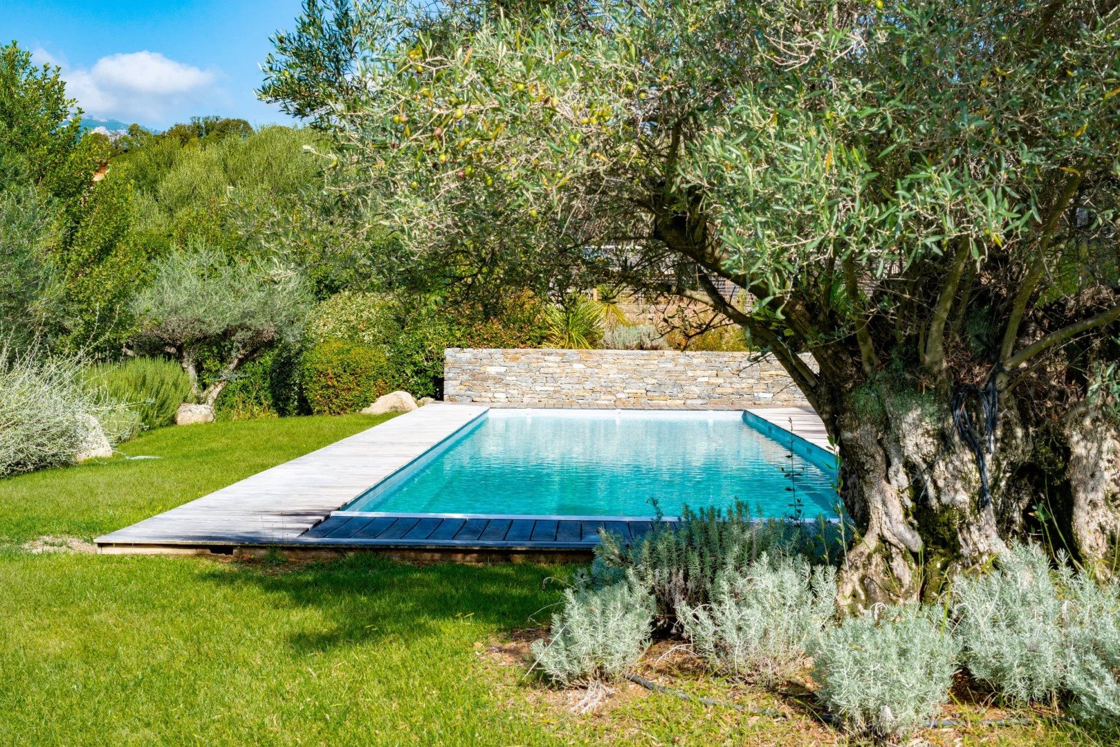 Maison à louer, 350m², Porto-Vecchio