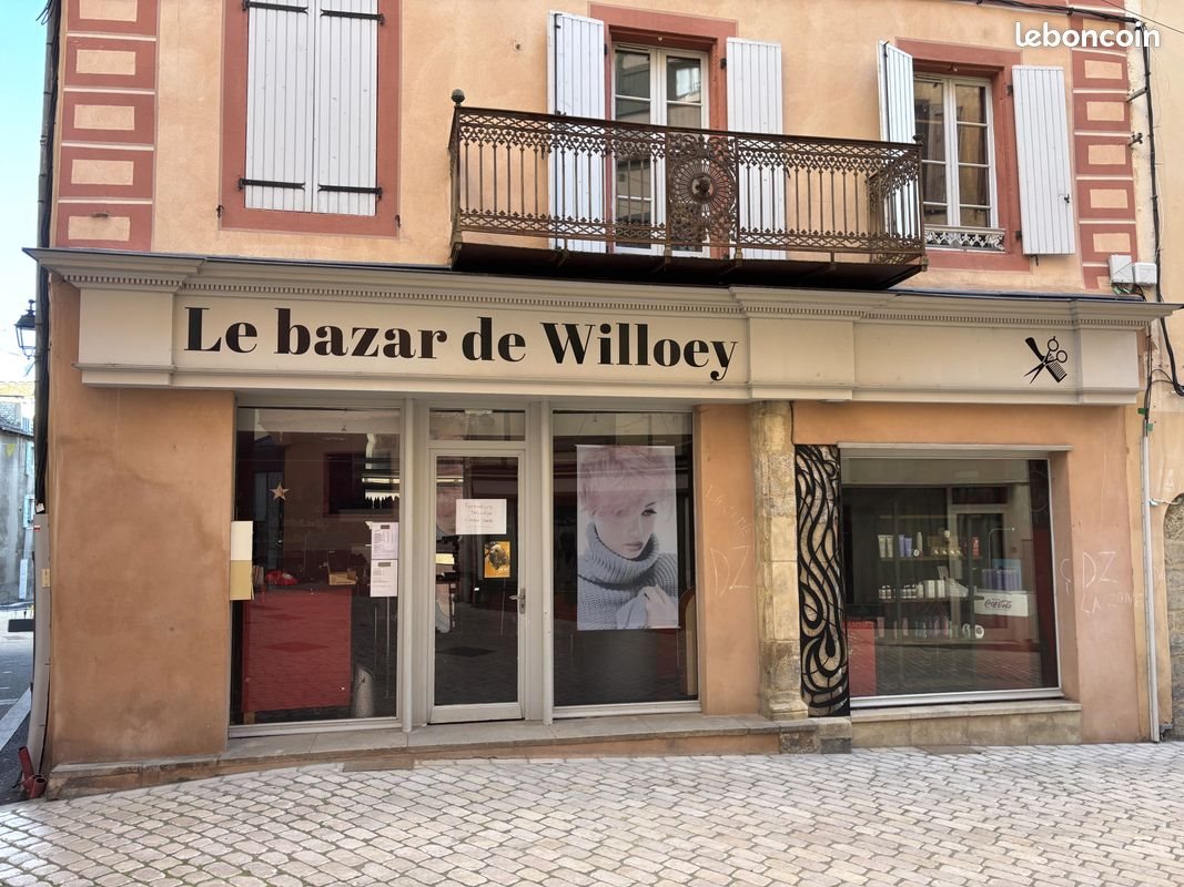 Appartement à vendre, 270m², Mende
