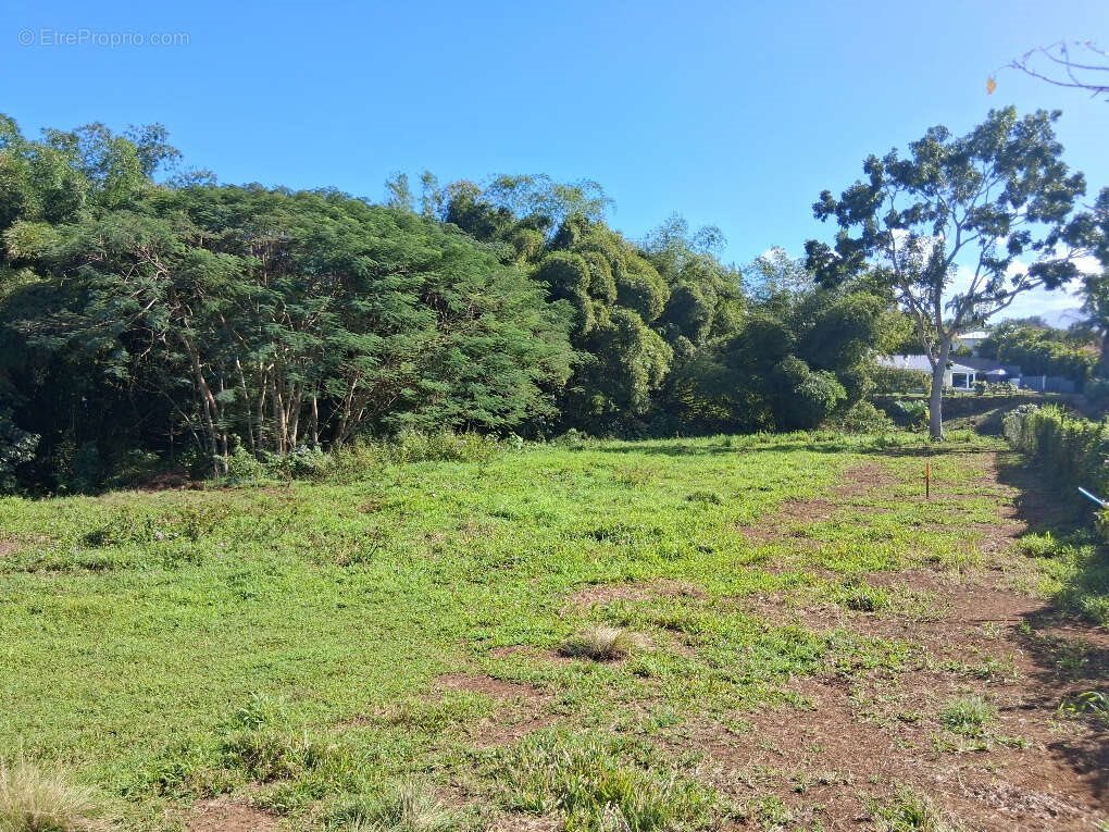 Maison à vendre, 583m², Baie-Mahault