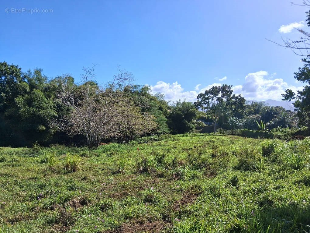 Maison à vendre, 583m², Baie-Mahault