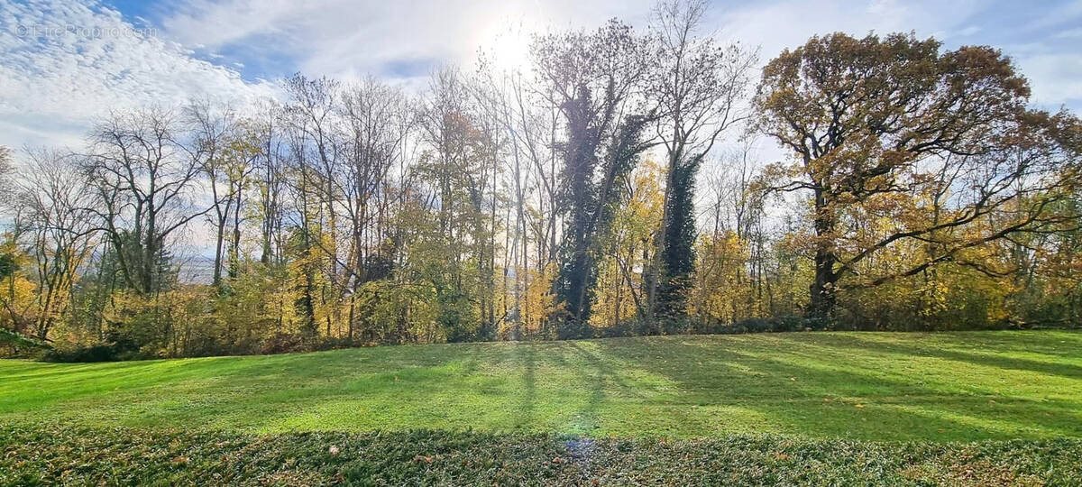 Appartement à vendre, 50m², Saint-Max