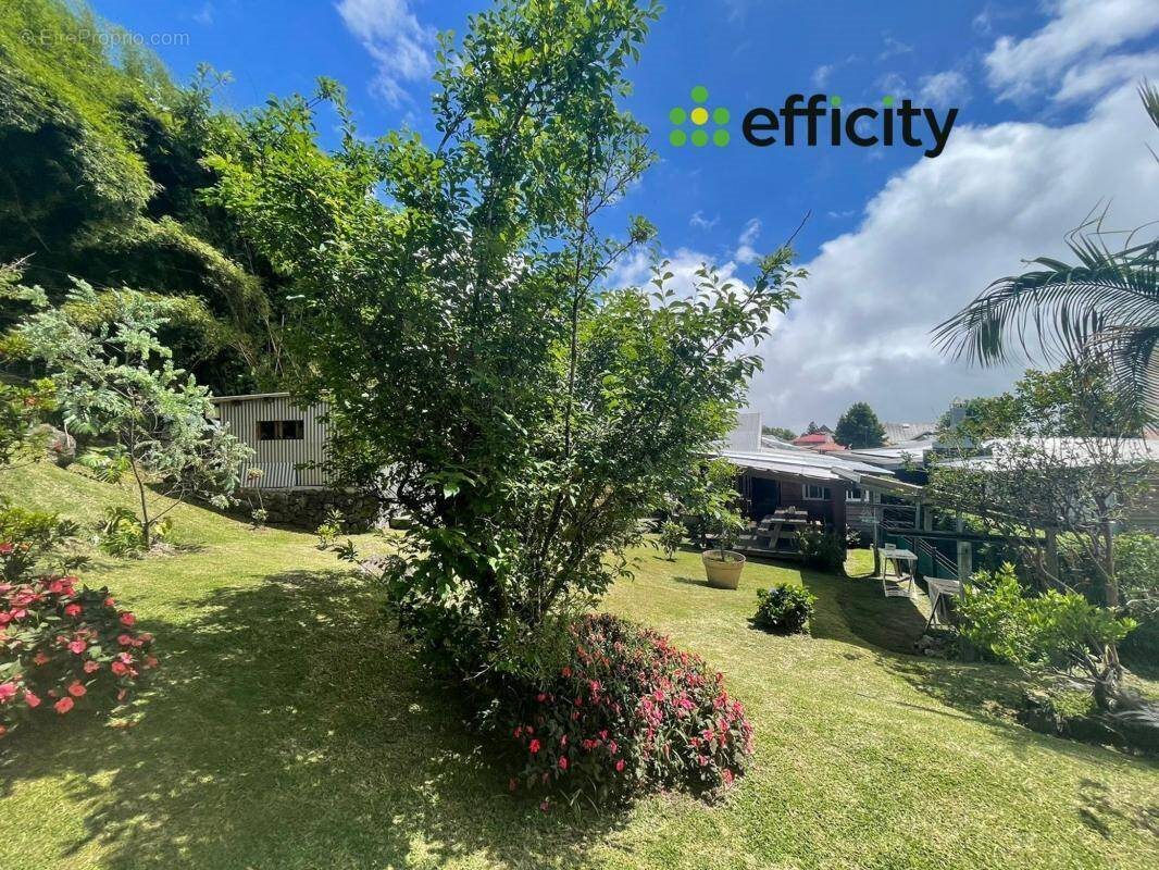 Maison à vendre, 180m², La Plaine-des-Palmistes