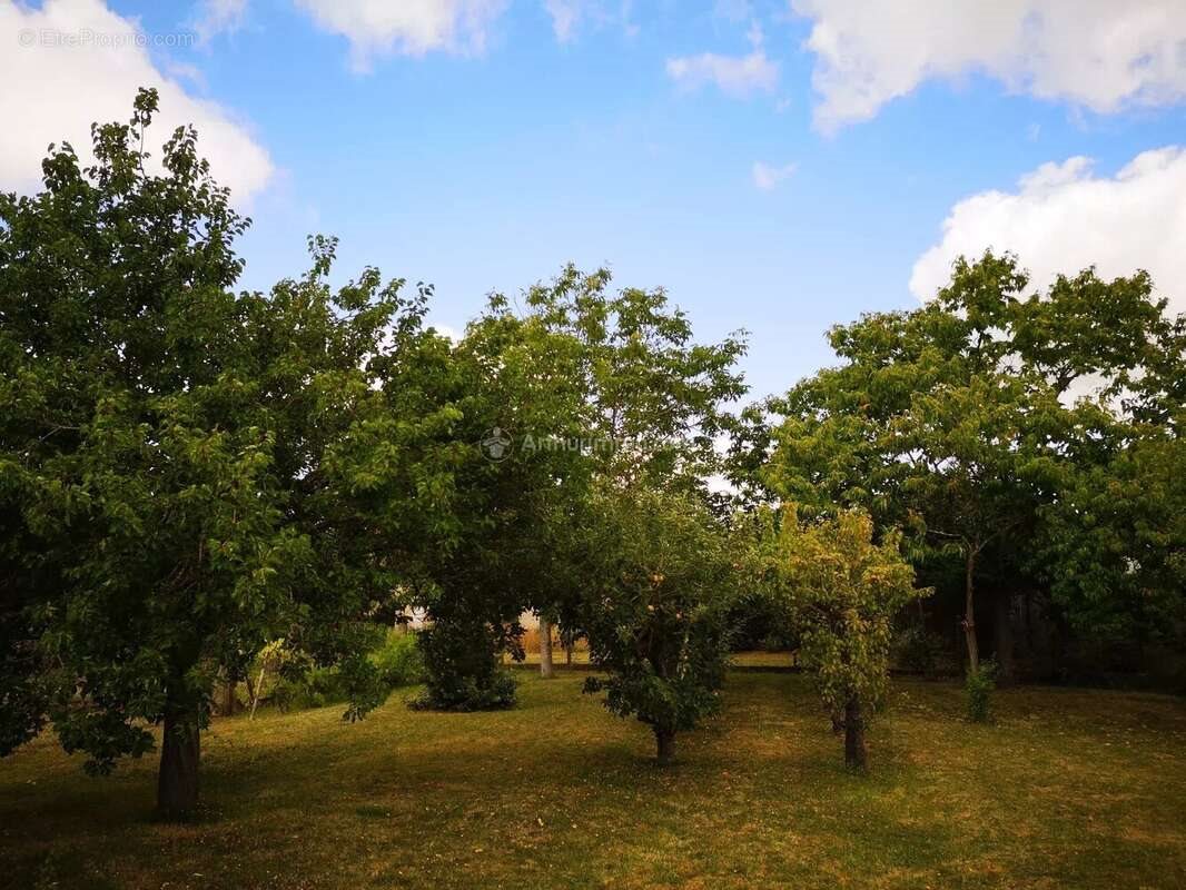 Maison à vendre, 171m², Montoire-sur-le-Loir