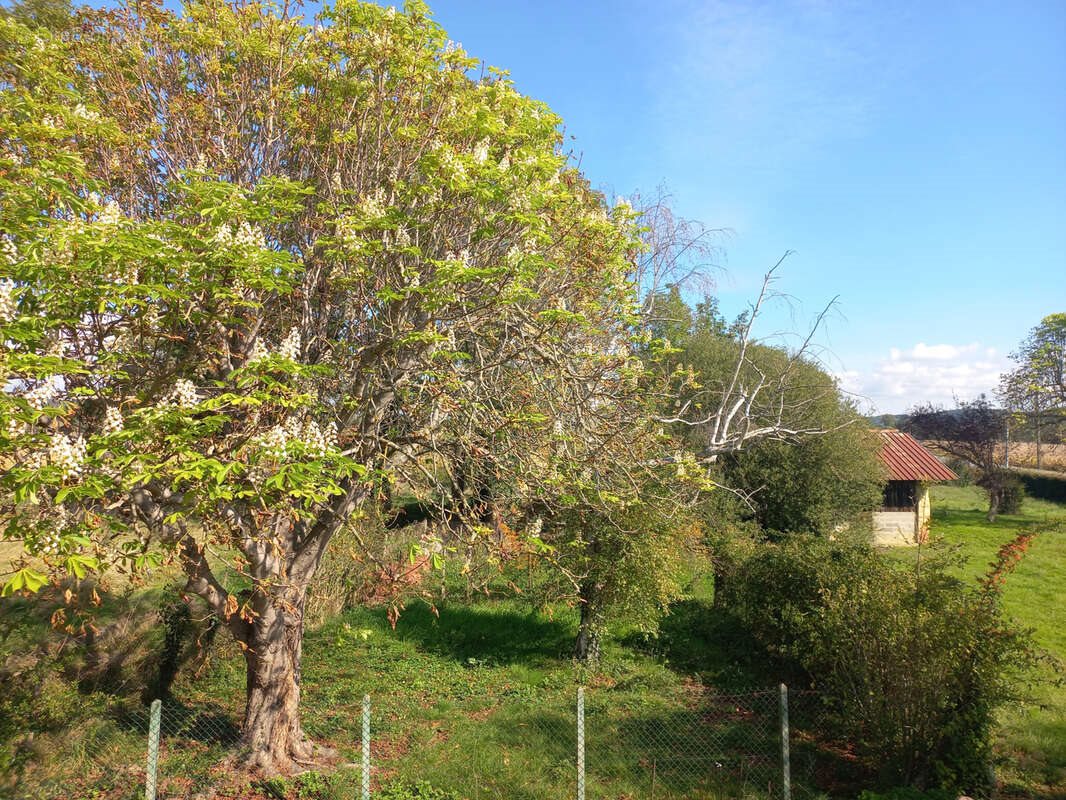 Maison à vendre, 93m², Castelnau-Magnoac