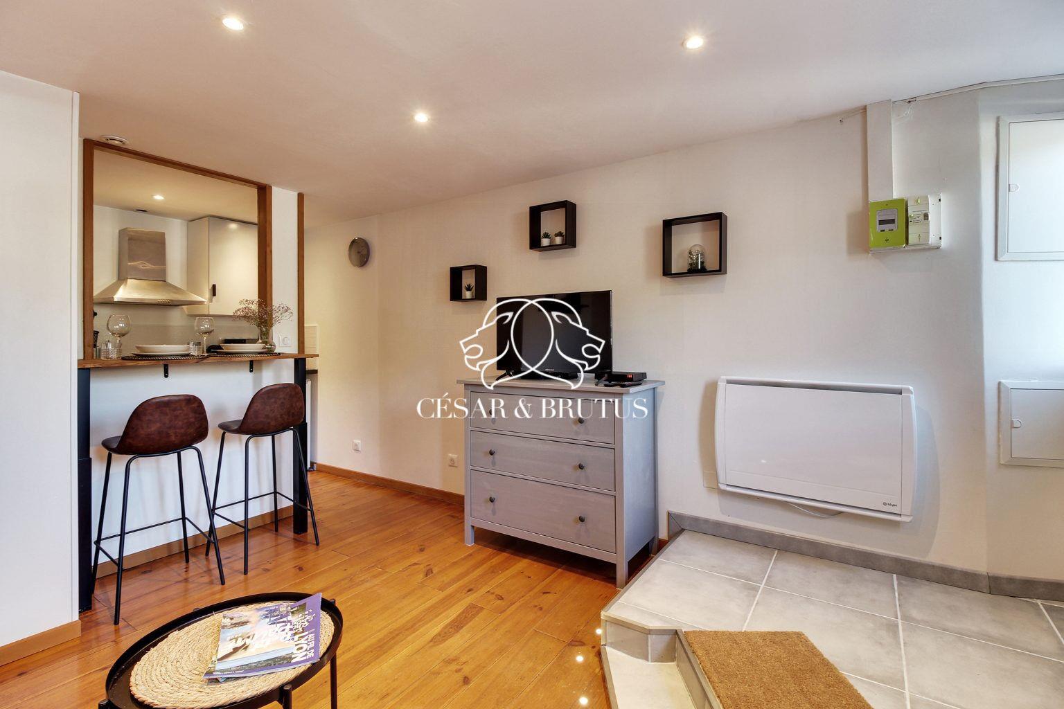 Appartement à vendre, 18m², Lyon 5ème