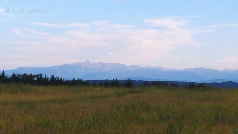 Maison à vendre, 280m², Peyrehorade