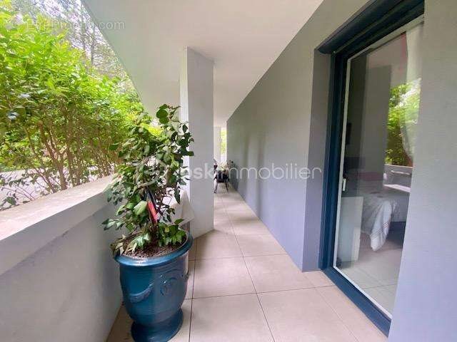 Appartement à vendre, 47m², Castelnau-le-Lez