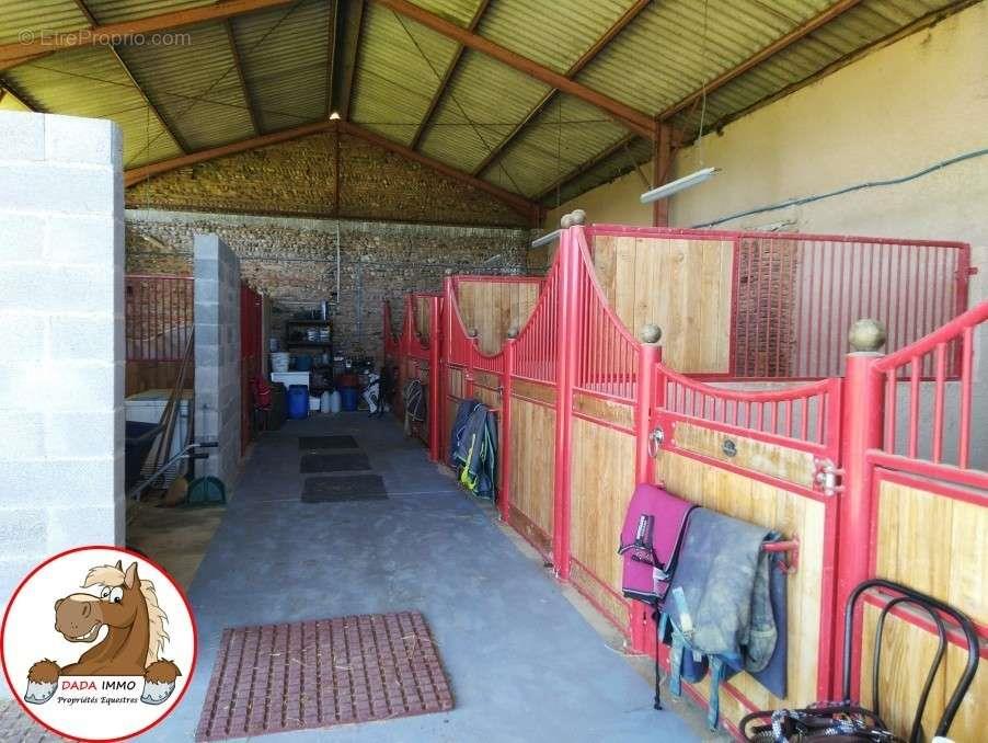 Maison à vendre, 220m², Toulouse