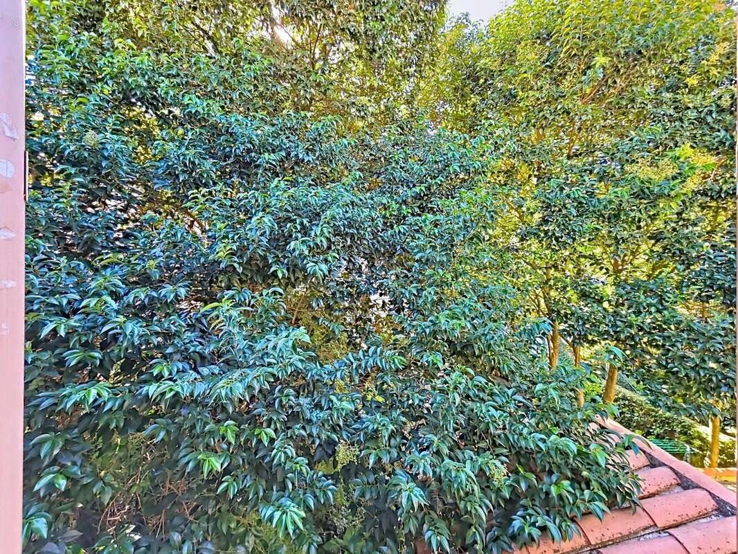 Appartement à vendre, 33m², Bédarieux