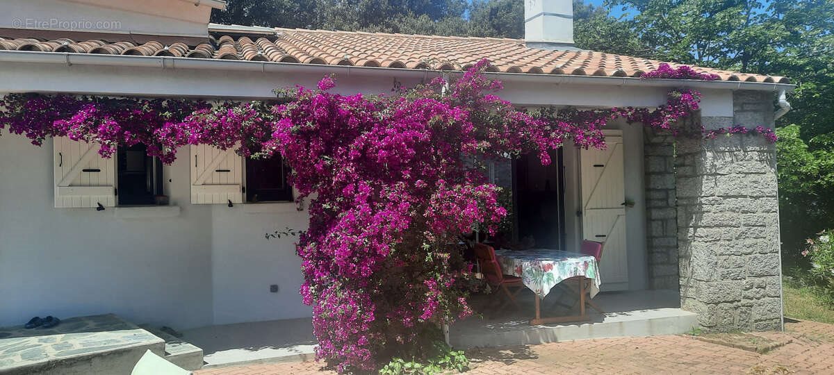 Maison à vendre, 146m², Sartène