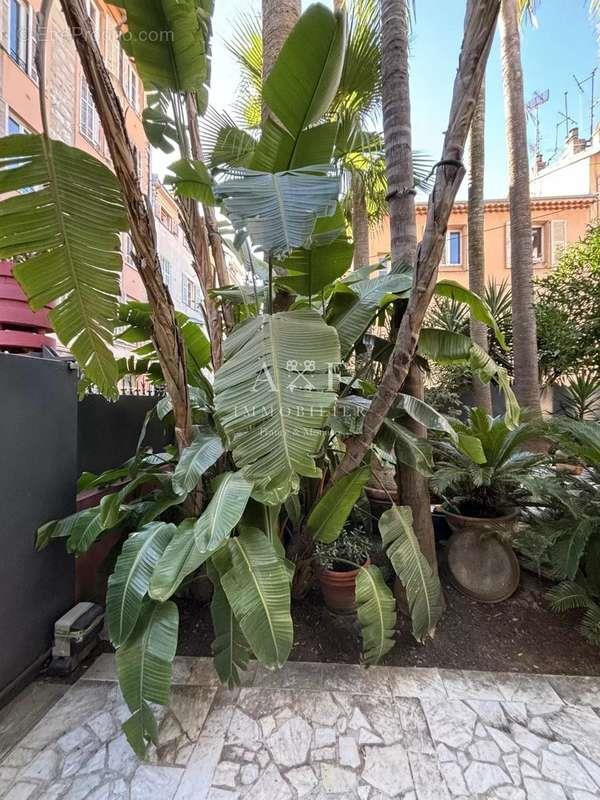 Maison à vendre, 200m², Nice