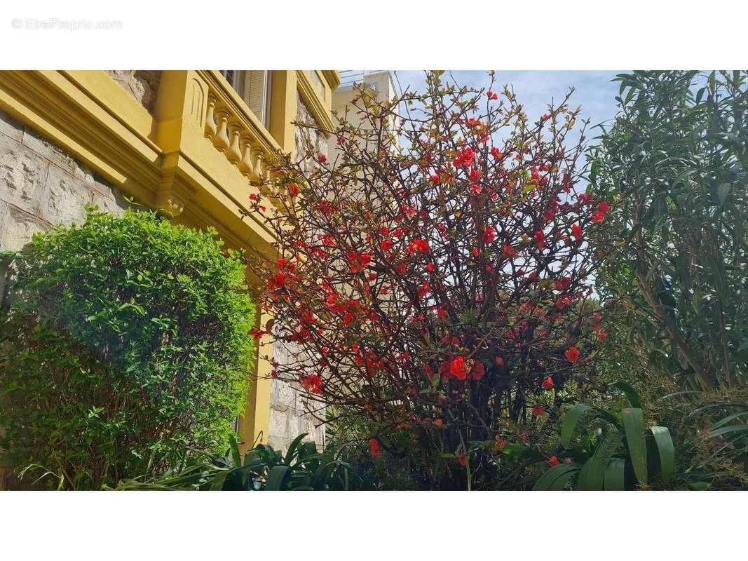 Appartement à vendre, 35m², Nice