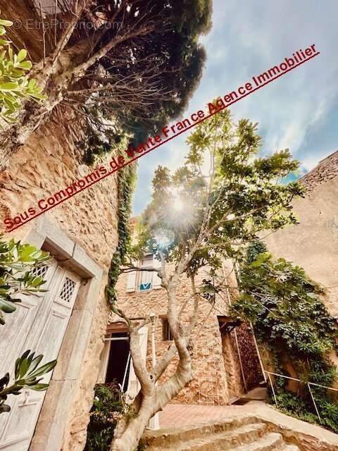 Maison à vendre, 1200m², Perpignan