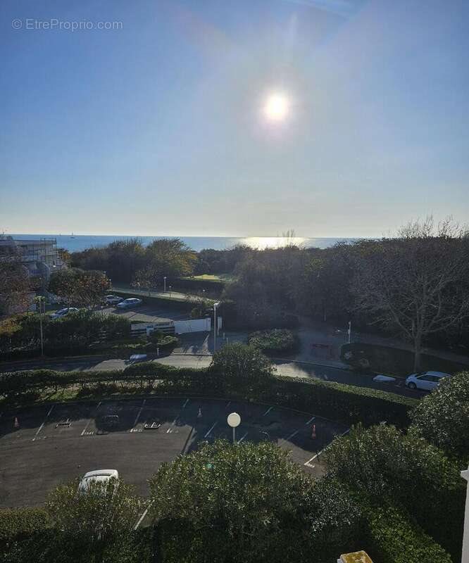 Appartement à vendre, 28m², La Grande-Motte