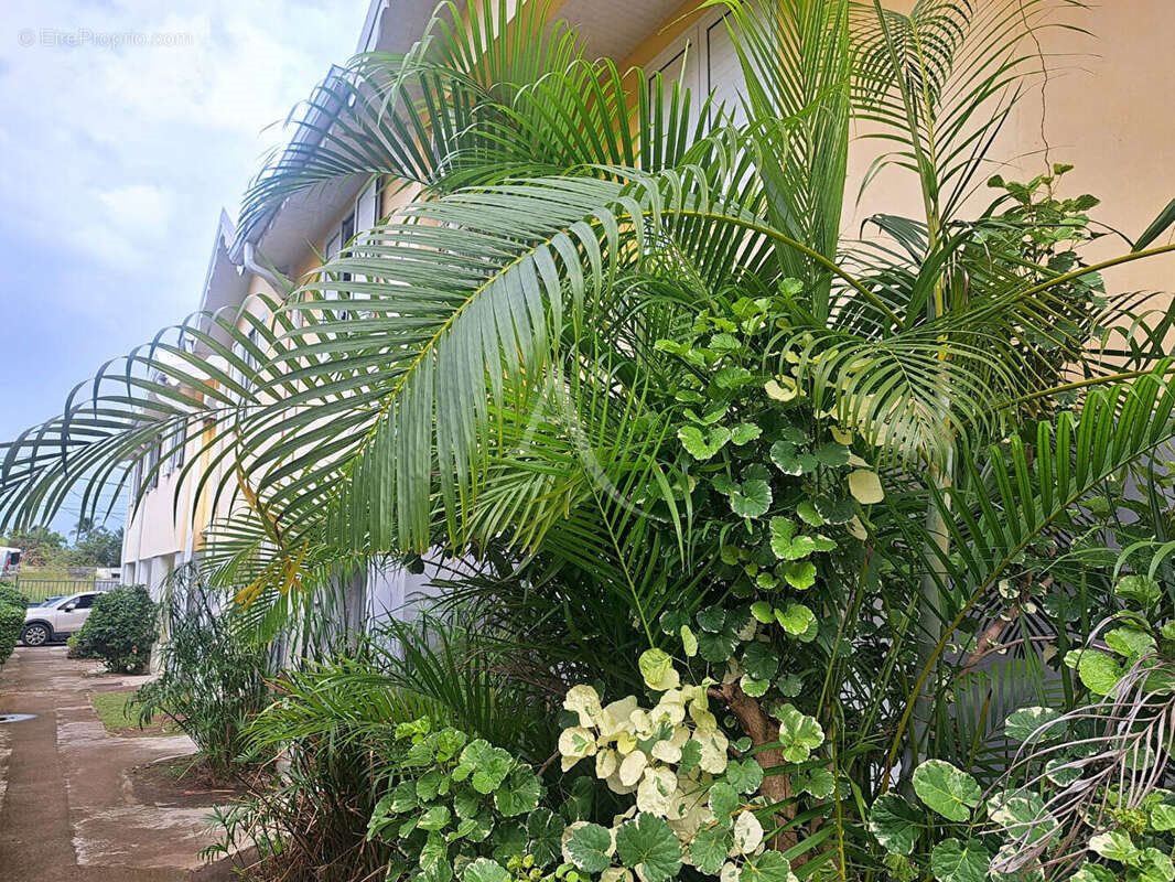 Appartement à vendre, 74m², Le Vauclin