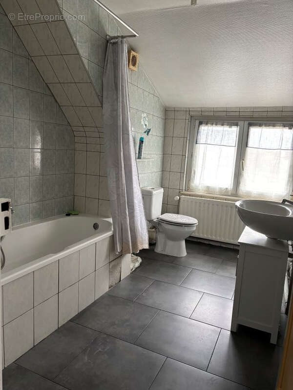 Appartement à vendre, 53m², Wittelsheim