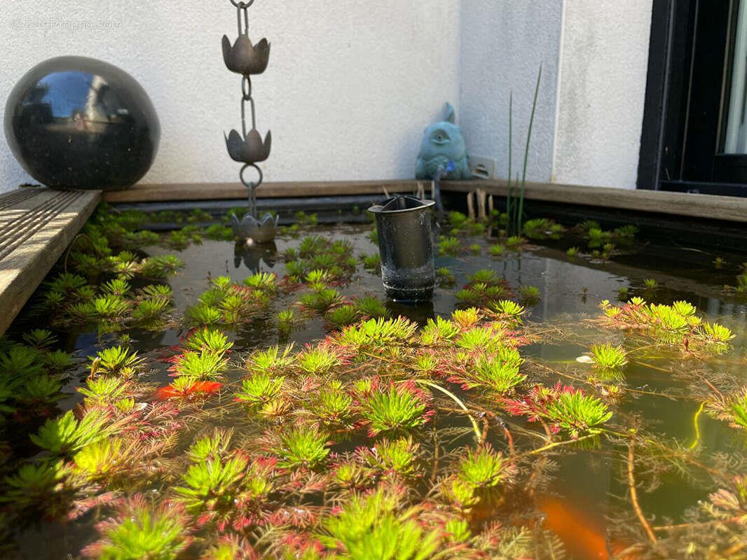 Maison à vendre, 188m², Rennes