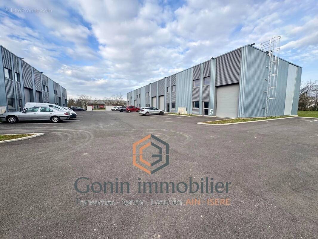 Maison à vendre, 182m², Tignieu-Jameyzieu