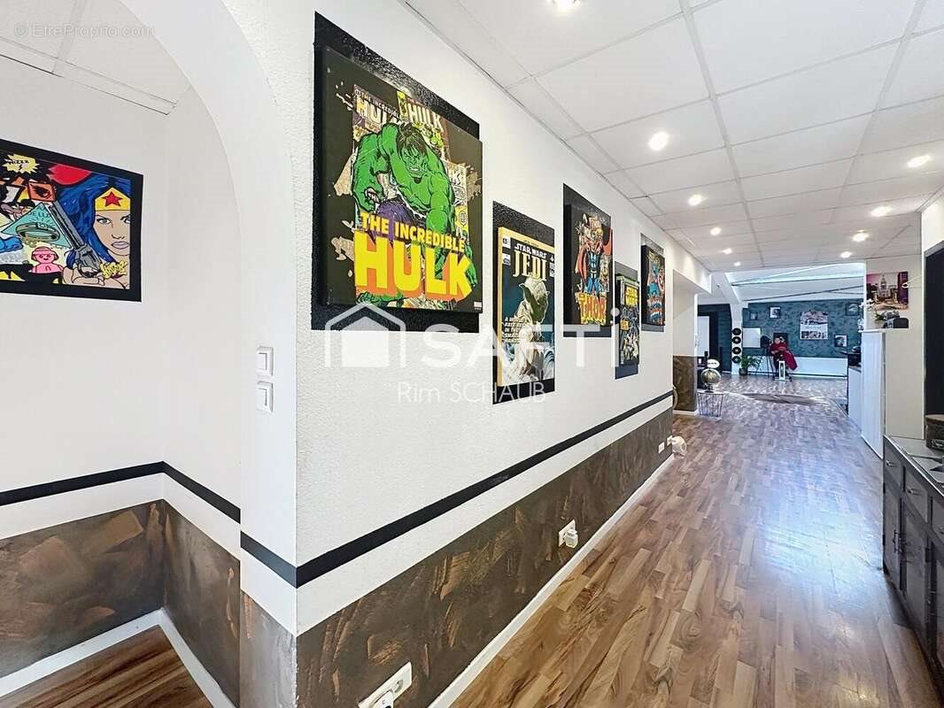 Appartement à vendre, 200m², Hégenheim