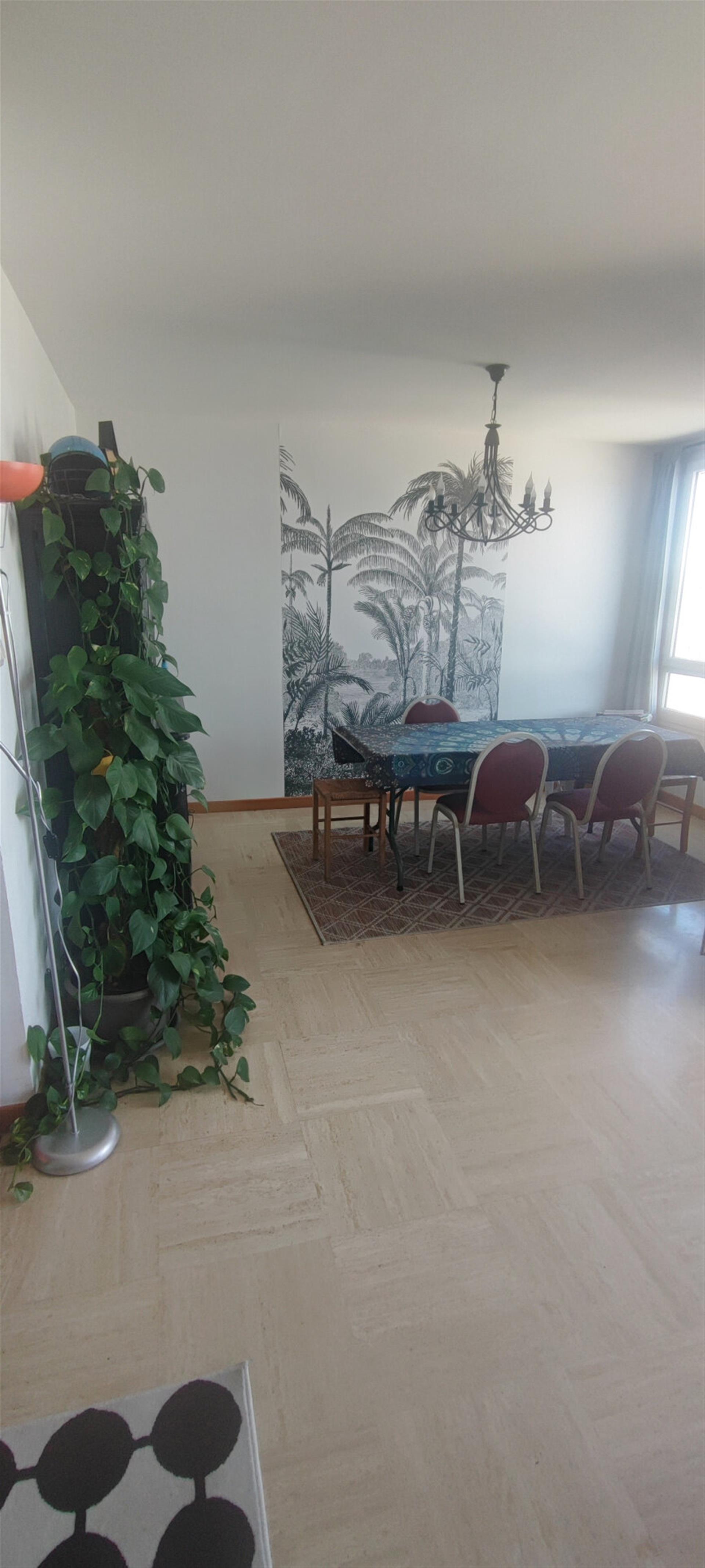 Appartement à vendre, 120m², Saint-Etienne