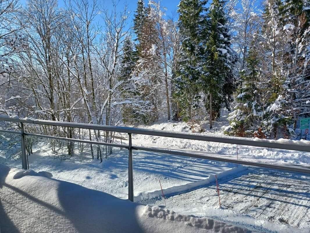 Appartement à vendre, 25m², Longchaumois