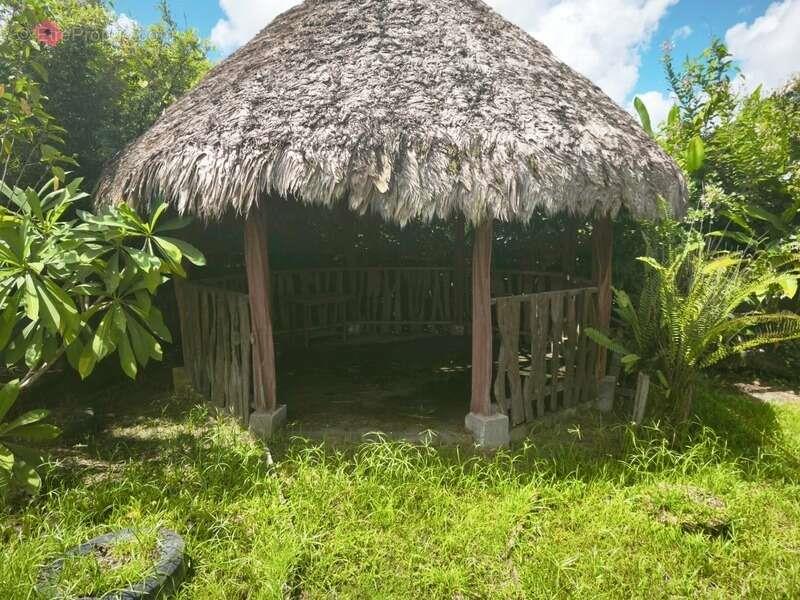 Maison à vendre, 92m², Saint-Laurent-du-Maroni