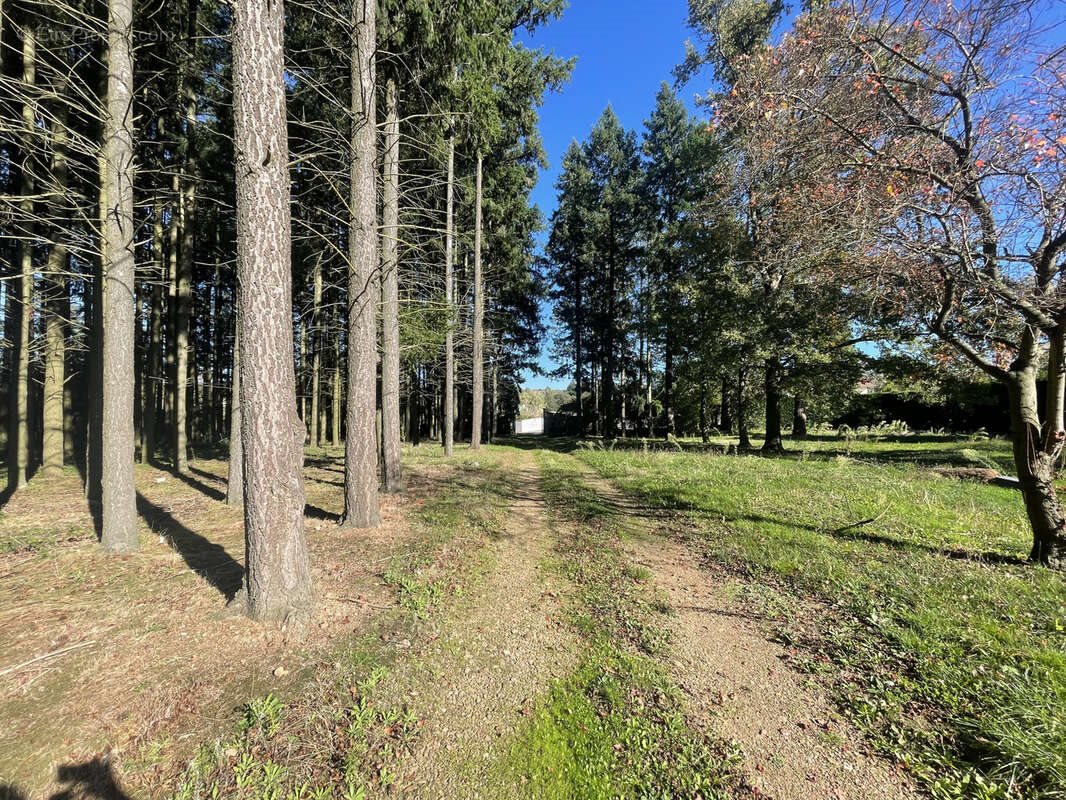 Maison à vendre, 146m², Saint-Vincent-de-Boisset