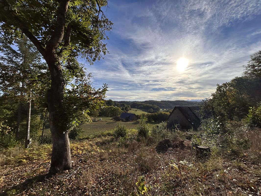 Appartement à vendre, 65m², Neuvic