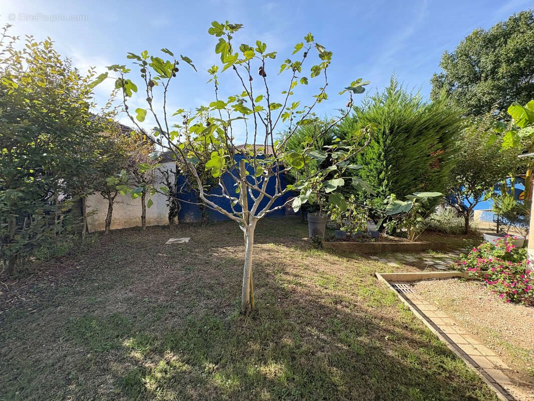 Appartement à vendre, 59m², Saint-André-de-Corcy