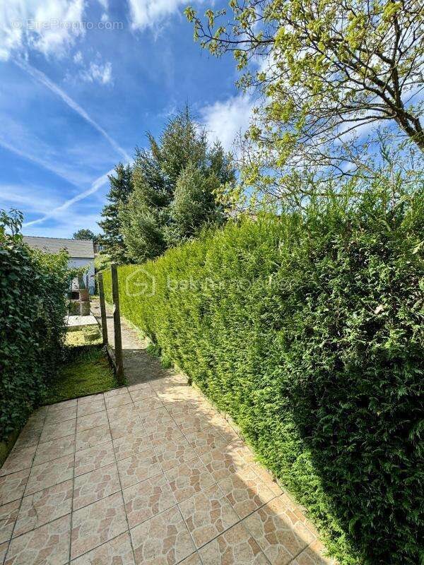 Maison à vendre, 168m², Creutzwald