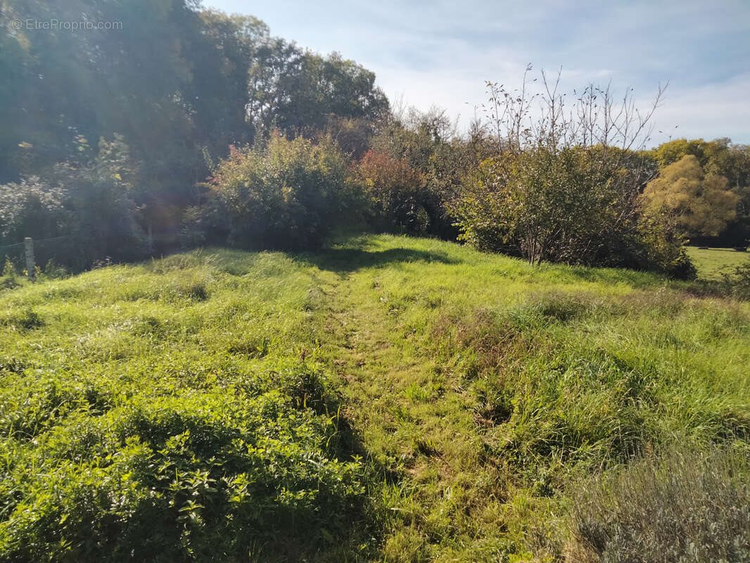 Maison à vendre, 90m², Saint-Benin-d'Azy