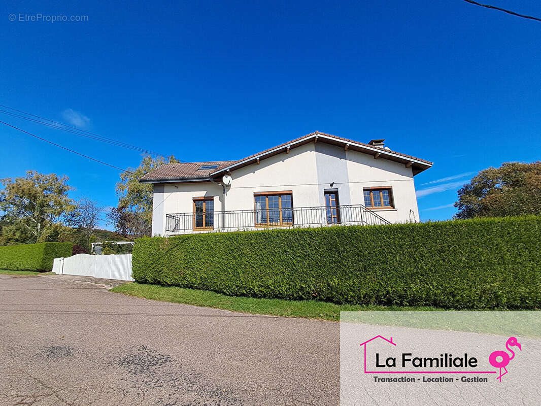 Maison à vendre, 180m², Aillevillers-et-Lyaumont
