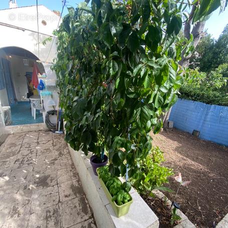 Appartement à vendre, 45m², Toulon