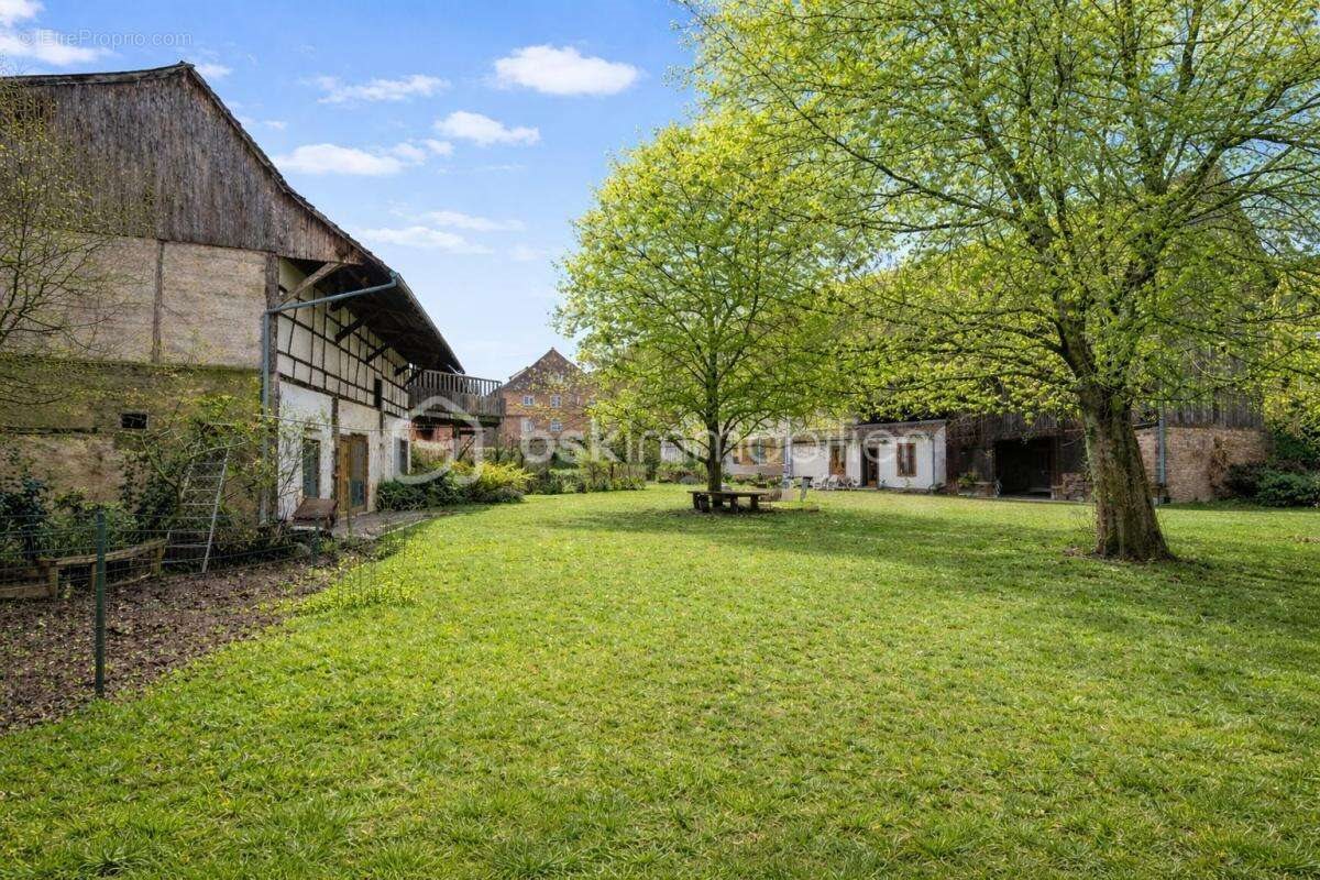 Appartement à vendre, 240m², Ebersheim