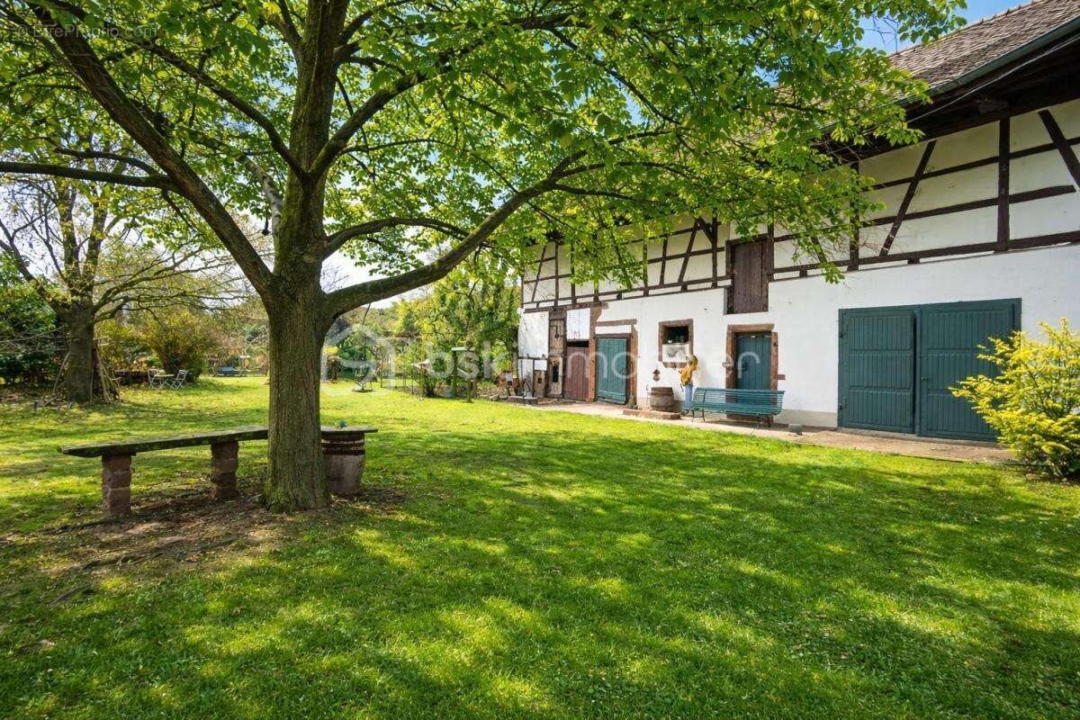 Appartement à vendre, 240m², Ebersheim