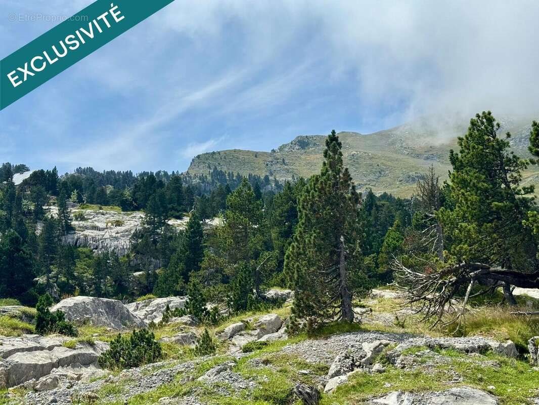 Appartement à vendre, 24m², Arette