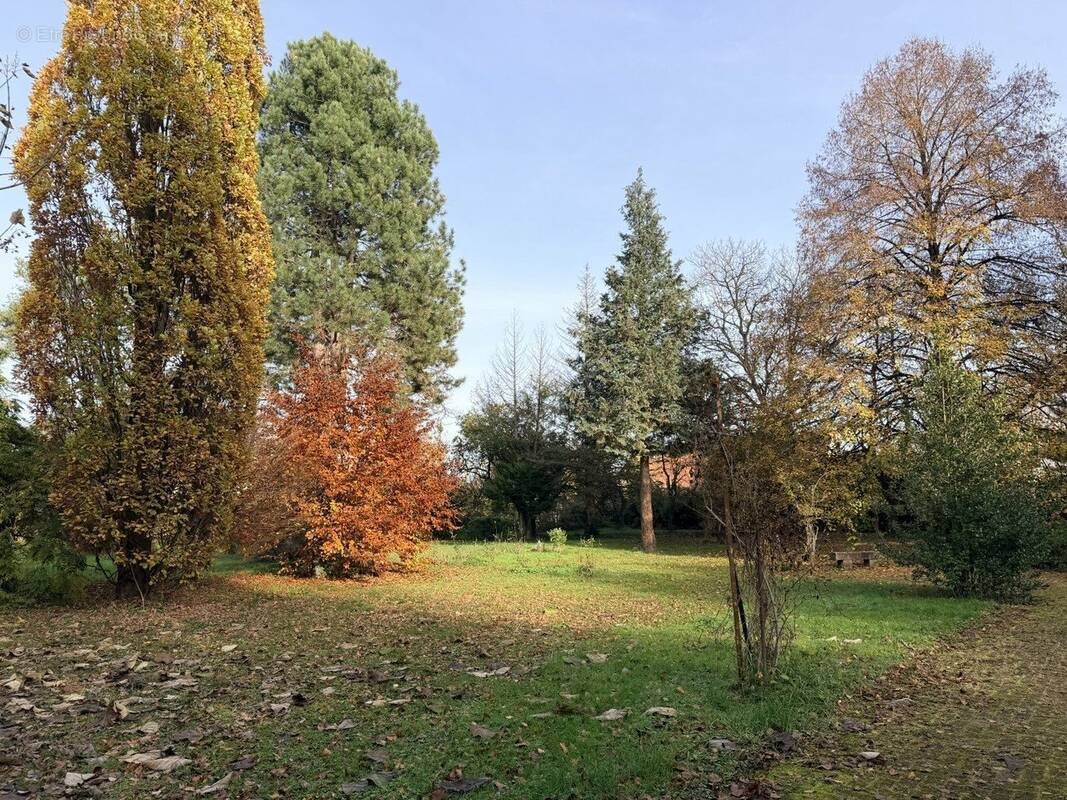 Appartement à vendre, 65m², Obernai