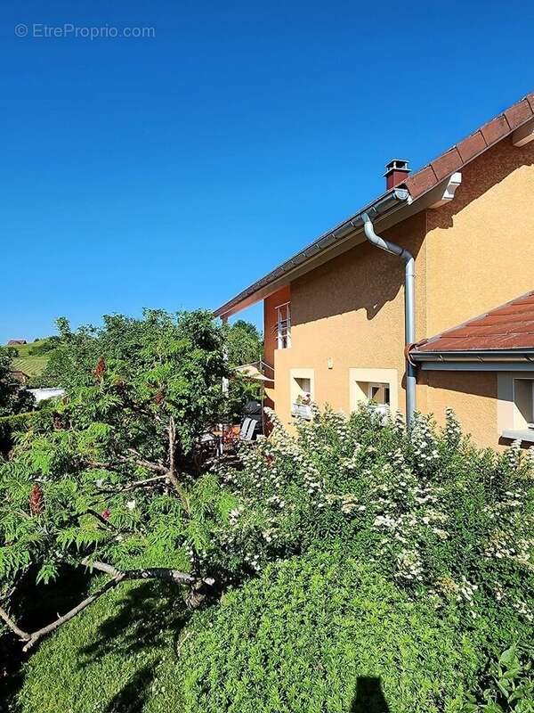 Maison à vendre, 120m², Rochejean